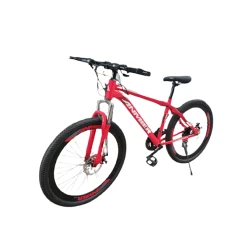 Dağ velosipedi Anmier, 29