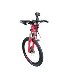 Dağ velosipedi Anmier, 29