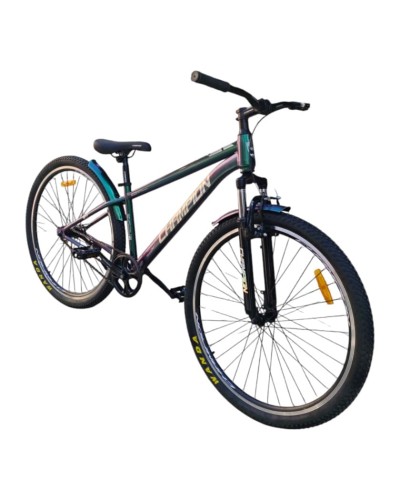 Velosiped Champion 29 Sport, qarışıq rəng (xameleon/qara/yaşıl), dəmir, ölçü 29, skorossuz - Velo2025-15