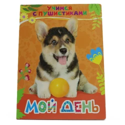 Книга Росмэн Учимся с Пушистиками Мой день, автор Г. Дядина