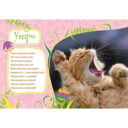 Книга Росмэн Учимся с Пушистиками Мой день, автор Г. Дядина