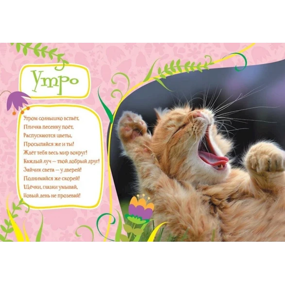 Книга Росмэн Учимся с Пушистиками Мой день, автор Г. Дядина