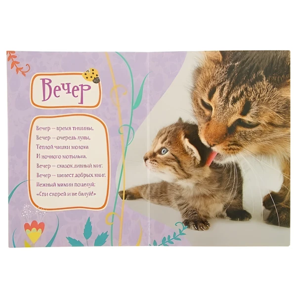 Книга Росмэн Учимся с Пушистиками Мой день, автор Г. Дядина