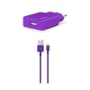 Сетевое зарядное устройство Ttec Lightning 2.1 A Purple (2SCS20LMR) Сетевое зарядное устройство Ttec Lightning 2.1 A Purple (2SCS20LMR)