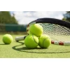Мяч теннисный желтый, 1 шт