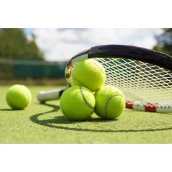 Мяч теннисный желтый, 1 шт Мяч теннисный желтый, 1 шт