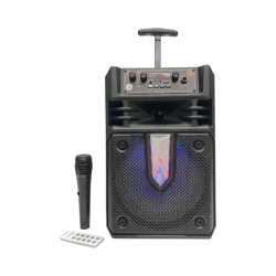 Portativ dinamik KTS 1631