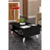 Журнальный стол ev_12116173, ламинат, черный, 90x60x40 см Журнальный стол ev_12116173, ламинат, черный, 90x60x40 см