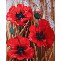 Алмазная мозаика Diamond Mosaic Маки, 40х50 см (DIAMONDGD407) Алмазная мозаика Diamond Mosaic Маки, 40х50 см (DIAMONDGD407)