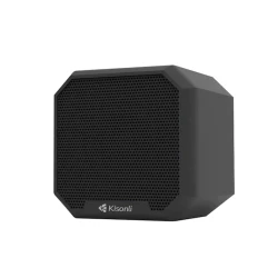 Акустическая система Kisonli I-550