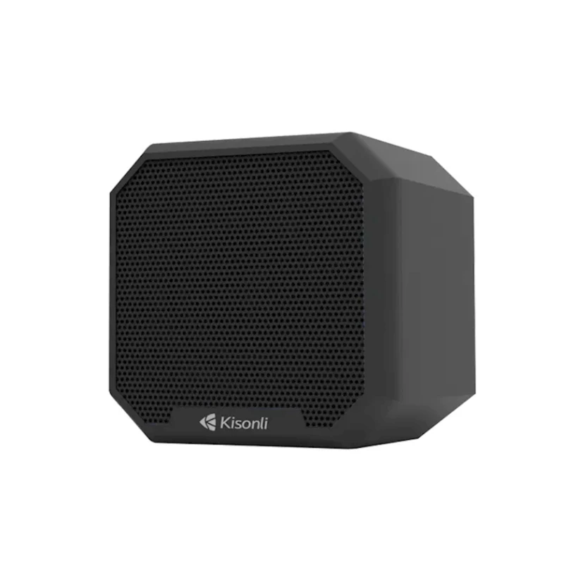 Акустическая система Kisonli I-550