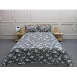 Örtük və yastıq üzü dəsti Moon Star SHA-00006286, ikinəfərlik, rəngbərəng, örtük 220х240 sm, 2 əd yastıq üzü 50x70 sm