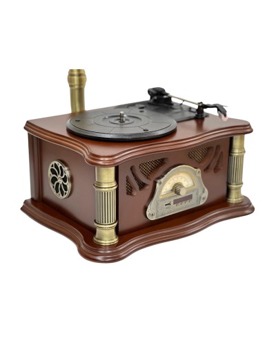 Vinil plastin pleyeri Qrammofon Qəhvəyi/Qızılı
