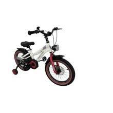 Velosiped Phillips P133 20