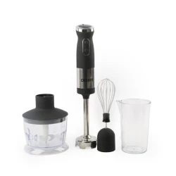 Blender Dessini DS-5822