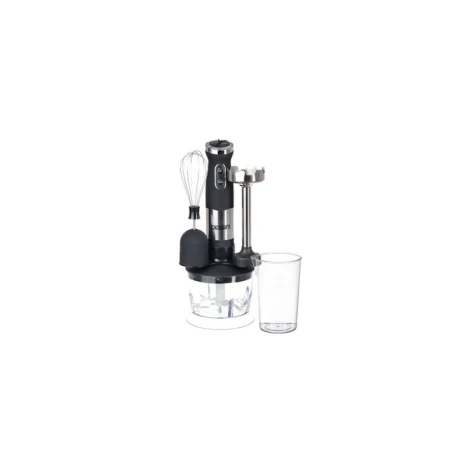 Blender Dessini DS-5822