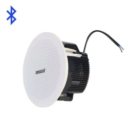 Акустическая система Kacaudio Model 881B