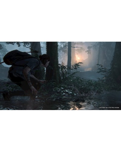 Oyun The Last of Us Part II PS4.
