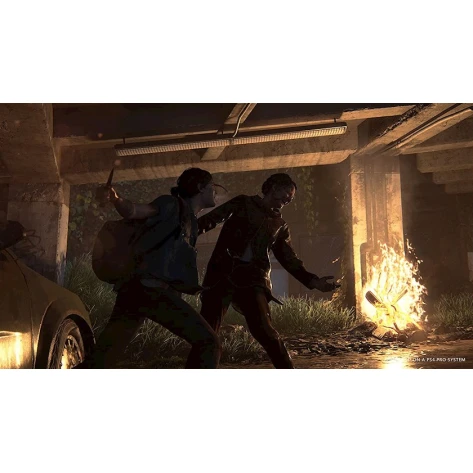 Игра The Last of Us Part II PS4.