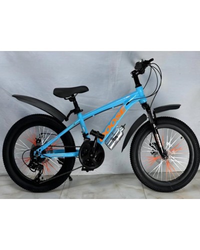 Velosiped Çin 20'', 2 təkərli, 21 sürət, su qabı ilə (8-11 yaş) - BB-886