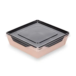 Одноразовые контейнеры для салата Loyal-7448379053, 50 шт, коричневые Одноразовые контейнеры для салата Loyal-7448379053, 50 шт, коричневые