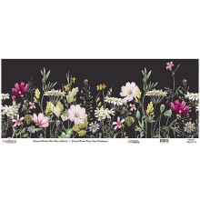 Dekupaj üçün düyü kağızı Cadence Universal Bordure 30x68, UBC-009-30