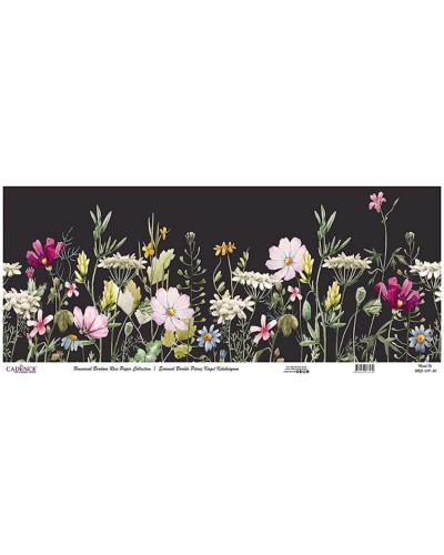 Dekupaj üçün düyü kağızı Cadence Universal Bordure 30x68, UBC-009-30