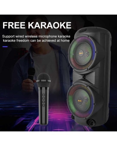 Portativ dinamik SING-E ZQS12206 - ZQS12206