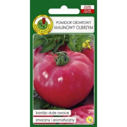 Семена овощей PNOS Томат Gruntowy Malinowy Olbryzm, 1 г