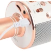 Микрофон для караоке WSTER WS-858, розовый