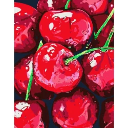 Картина по номерам Rosa Start Натюрморт, Вишни, 35х45 см