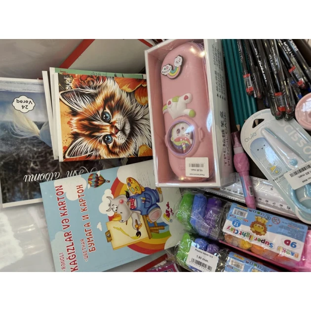 Набор школьных принадлежностей - для девочек