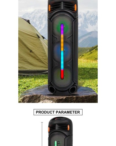 Portativ dinamik Sing-E ZQS8313 Bluetooth