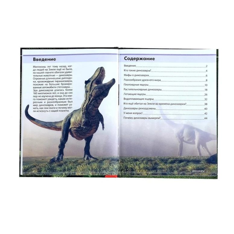Детская энциклопедия: Удивительные динозавры Детская энциклопедия: Удивительные динозавры