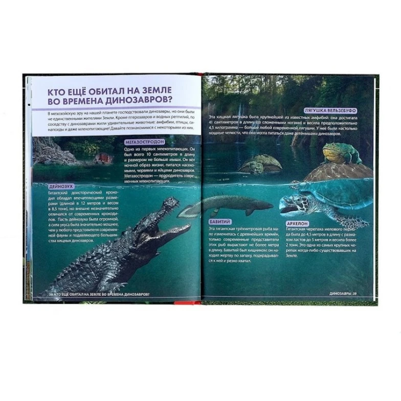 Детская энциклопедия: Удивительные динозавры Детская энциклопедия: Удивительные динозавры