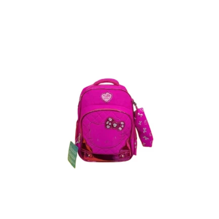 Школьный рюкзак FY-4525