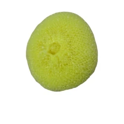 Süngər ElviShop_067