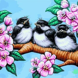 Nömrələr üzrə rəsm çəkmə Quşlar 20x30 sm