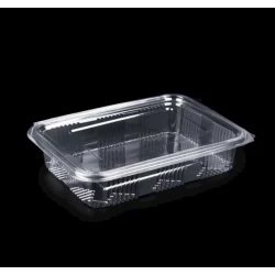 Набор одноразовых контейнеров Loyal 3223847239, полиэтилентерефталат, прозрачный, 34.8х23.2х5.43 см, 25 шт Набор одноразовых контейнеров Loyal 3223847239, полиэтилентерефталат, прозрачный, 34.8х23.2х5.43 см, 25 шт