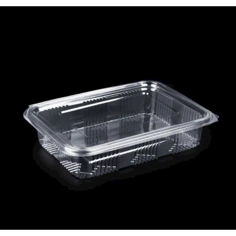 Набор одноразовых контейнеров Loyal 3223847239, полиэтилентерефталат, прозрачный, 34.8х23.2х5.43 см, 25 шт
