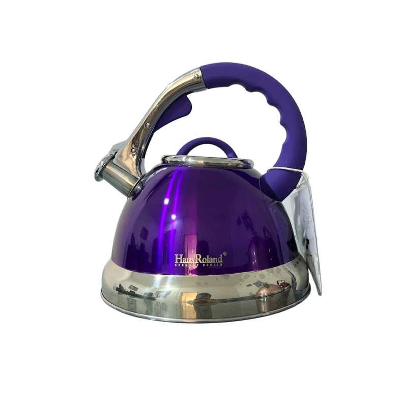 Чайник HausRoland 704-11, 3.5 л, нержавеющая сталь, фиолетовый Чайник HausRoland 704-11, 3.5 л, нержавеющая сталь, фиолетовый
