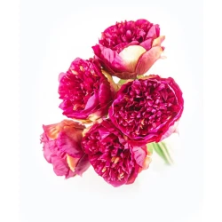Искусственный букет Hom-me 102957 Пион, 30 см, 5 цветков, розовый