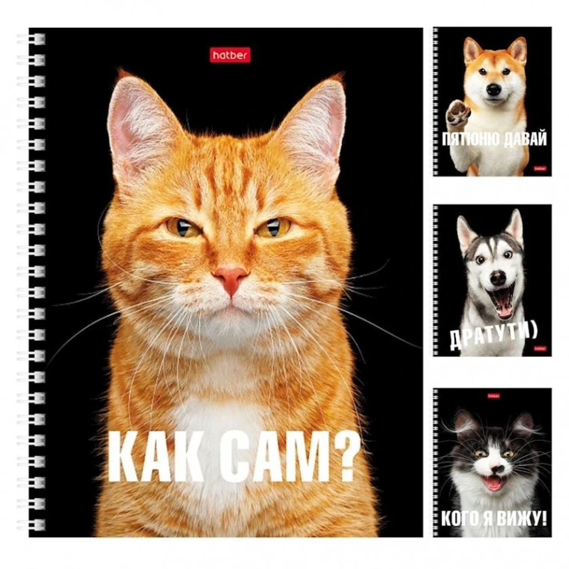 Тетрадь на спирали Hatber Привет 48T5BMB1QR, A5, 48 листов, товар в ассортименте Тетрадь на спирали Hatber Привет 48T5BMB1QR, A5, 48 листов, товар в ассортименте