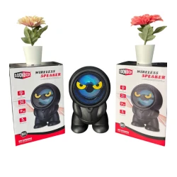 Портативная колонка SoonBox S21 BRA