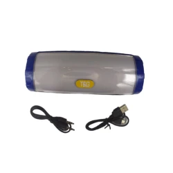 Portativ dinamik T&G TG-165C