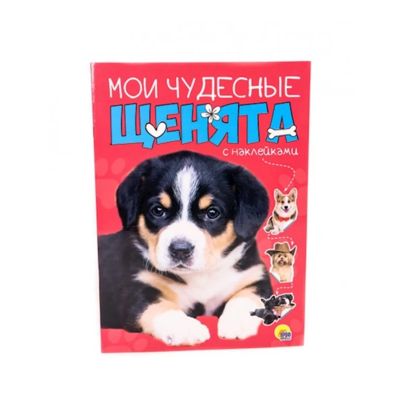 Детская книга Проф-Пресс 