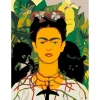 Картина по номерам Rosa Start Фрида Кало, акриловая, 35x45 см Картина по номерам Rosa Start Фрида Кало, акриловая, 35x45 см