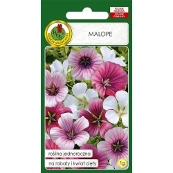 Семена цветов PNOS Malope 1 г