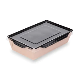 Одноразовые контейнеры для салата Loyal-126088882, 100 шт, коричневые Одноразовые контейнеры для салата Loyal-126088882, 100 шт, коричневые