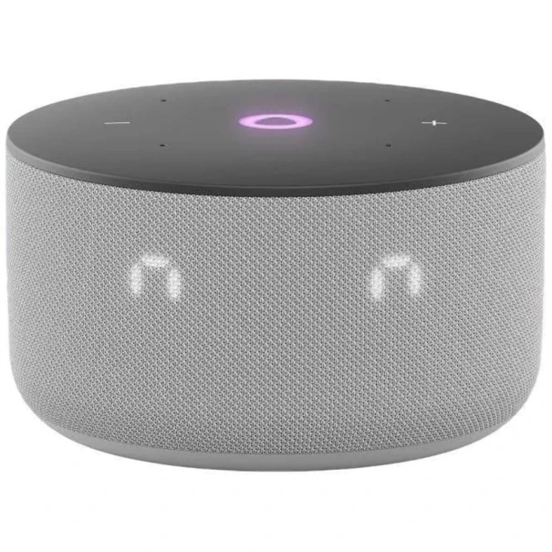 Умная колонка Yandex Станция Мини 3 Grey (YNDX-00027GRY)